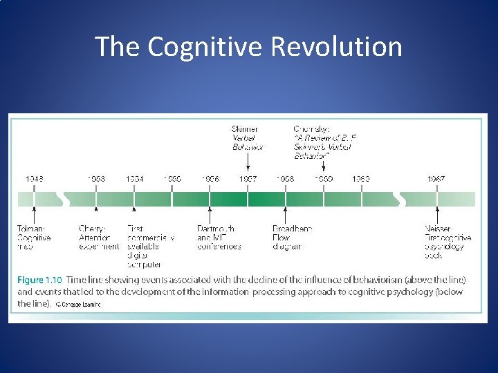 The Cognitive Revolution 