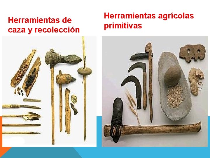 Herramientas de caza y recolección Herramientas agrícolas primitivas 