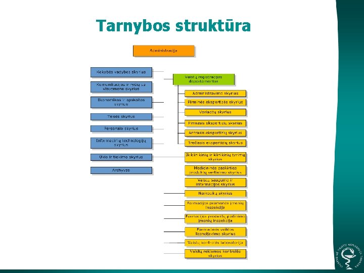 Tarnybos struktūra 