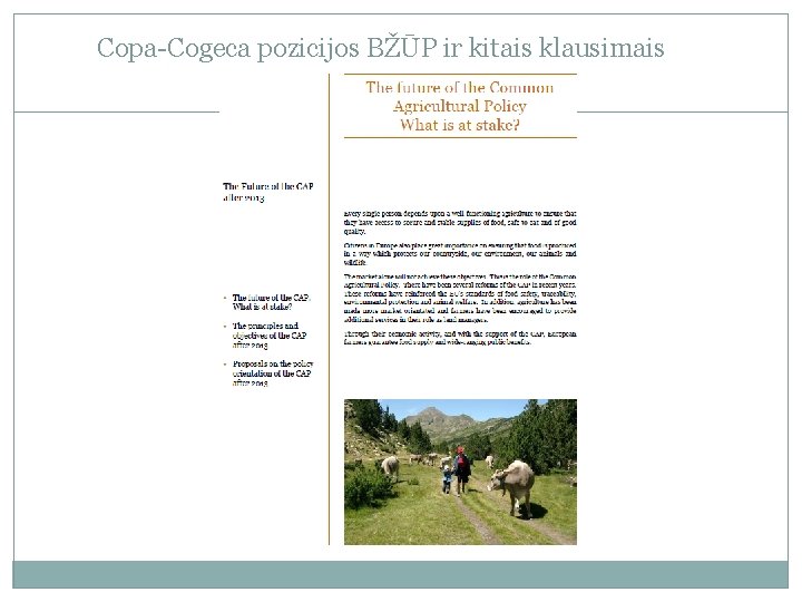 Copa-Cogeca pozicijos BŽŪP ir kitais klausimais 