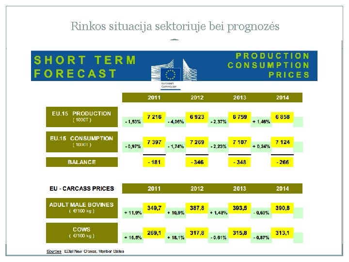 Rinkos situacija sektoriuje bei prognozės 