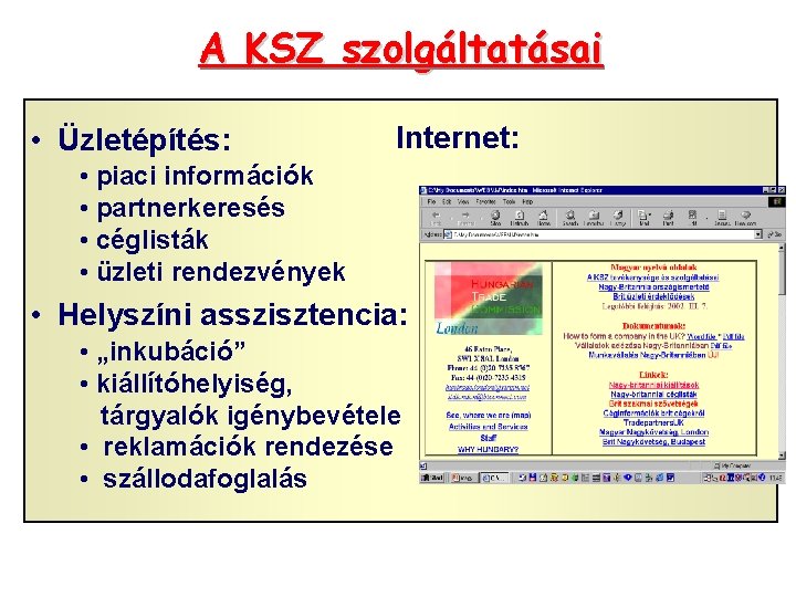 A KSZ szolgáltatásai • Üzletépítés: Internet: • piaci információk • partnerkeresés • céglisták •