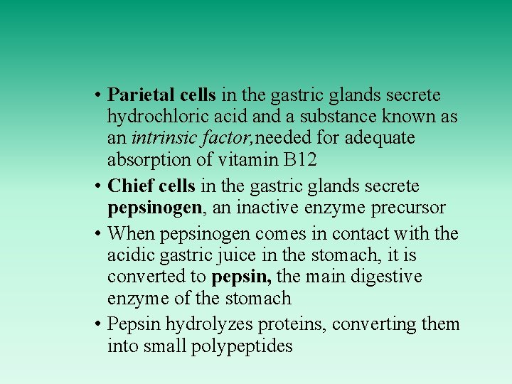  • Parietal cells in the gastric glands secrete hydrochloric acid and a substance