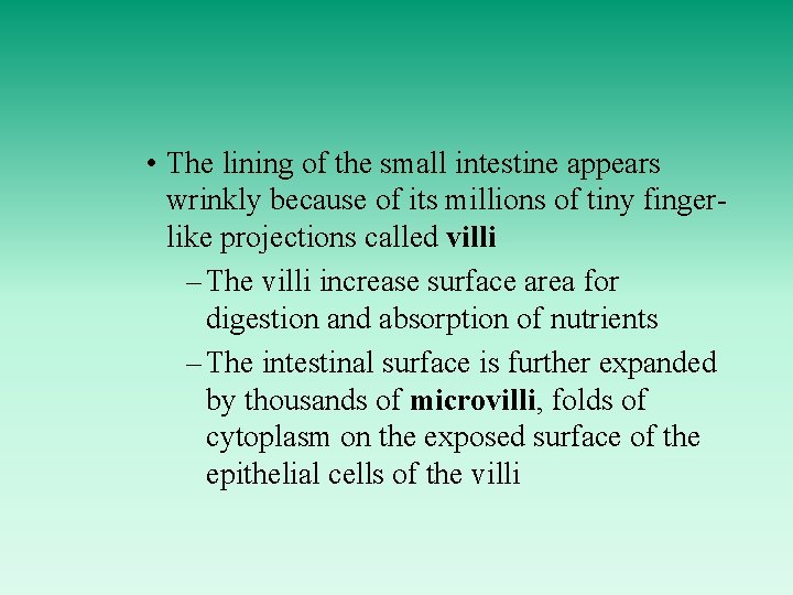  • The lining of the small intestine appears wrinkly because of its millions