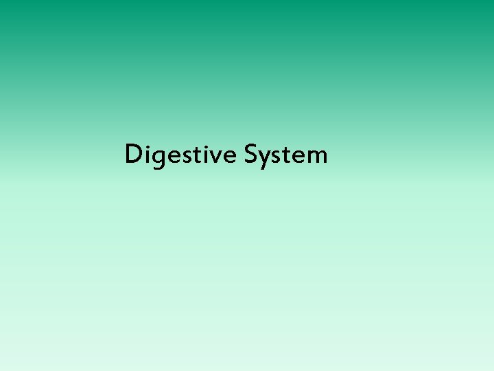 Digestive System 