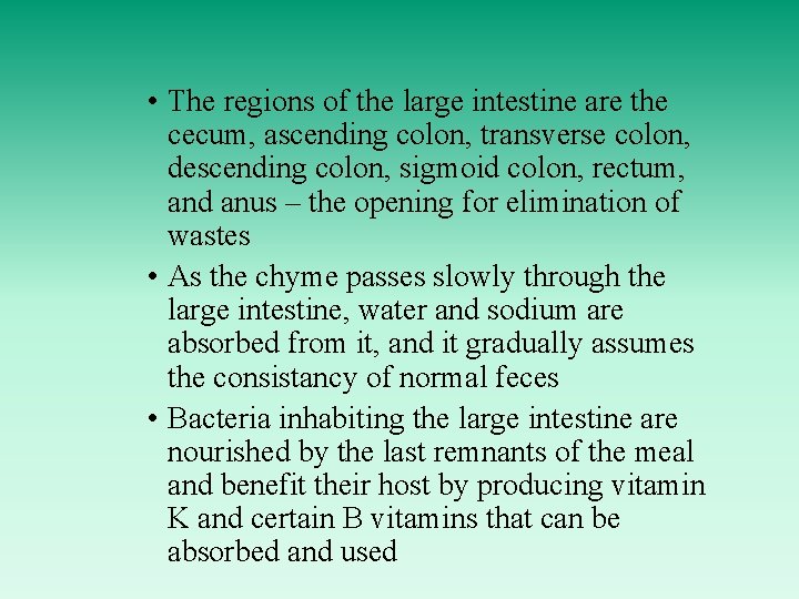  • The regions of the large intestine are the cecum, ascending colon, transverse