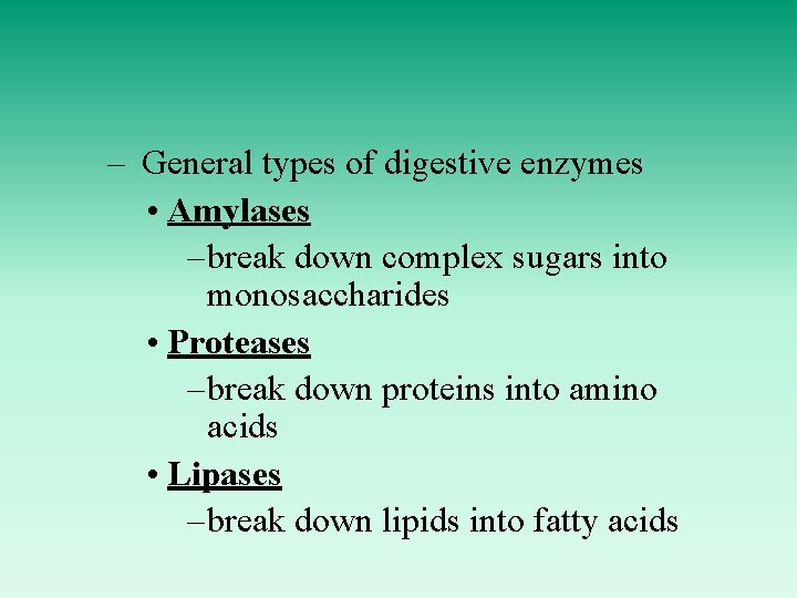 – General types of digestive enzymes • Amylases – break down complex sugars into