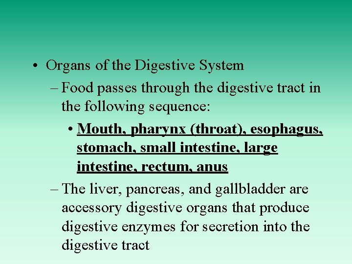  • Organs of the Digestive System – Food passes through the digestive tract