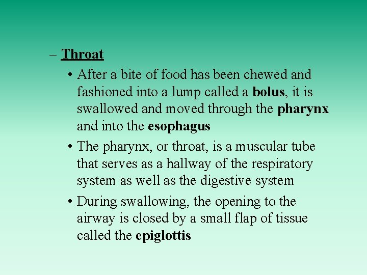 – Throat • After a bite of food has been chewed and fashioned into