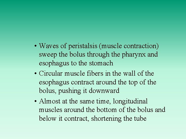  • Waves of peristalsis (muscle contraction) sweep the bolus through the pharynx and