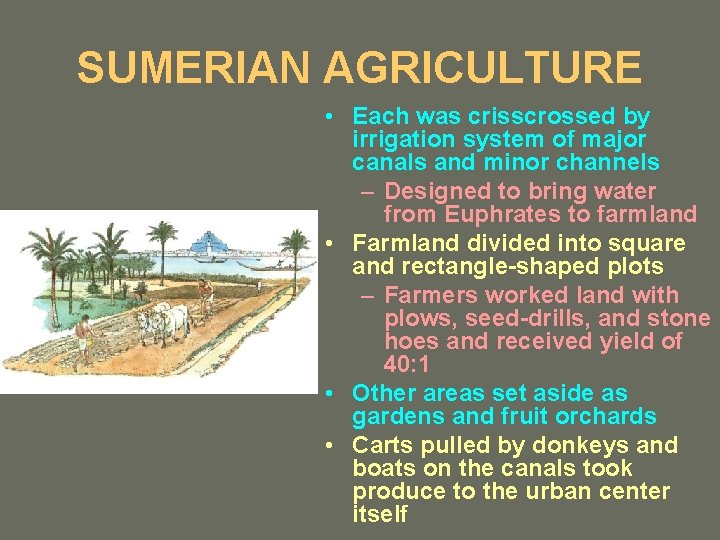 SUMERIAN AGRICULTURE • Each was crisscrossed by irrigation system of major canals and minor