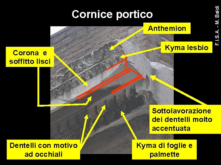 Anthemion Corona e soffitto lisci Kyma lesbio Sottolavorazione dei dentelli molto accentuata Dentelli con