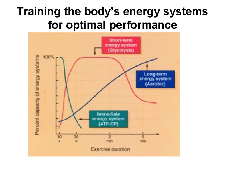 Training the body’s energy systems for optimal performance 