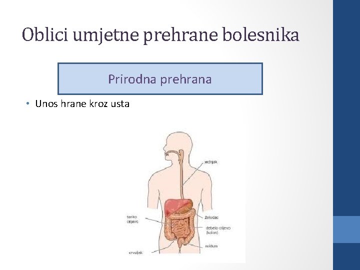 Oblici umjetne prehrane bolesnika Prirodna prehrana • Unos hrane kroz usta 