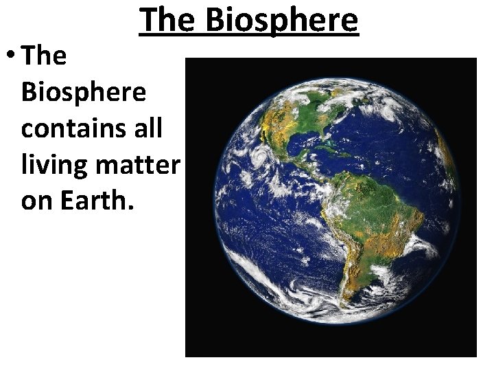 The Biosphere • The Biosphere contains all living matter on Earth. 