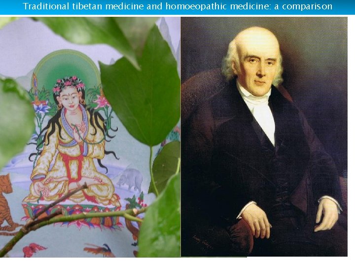 Traditional tibetan medicine and homoeopathic medicine: a comparison 