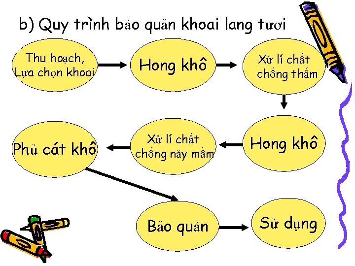 b) Quy trình bảo quản khoai lang tươi Thu hoạch, Lựa chọn khoai Hong