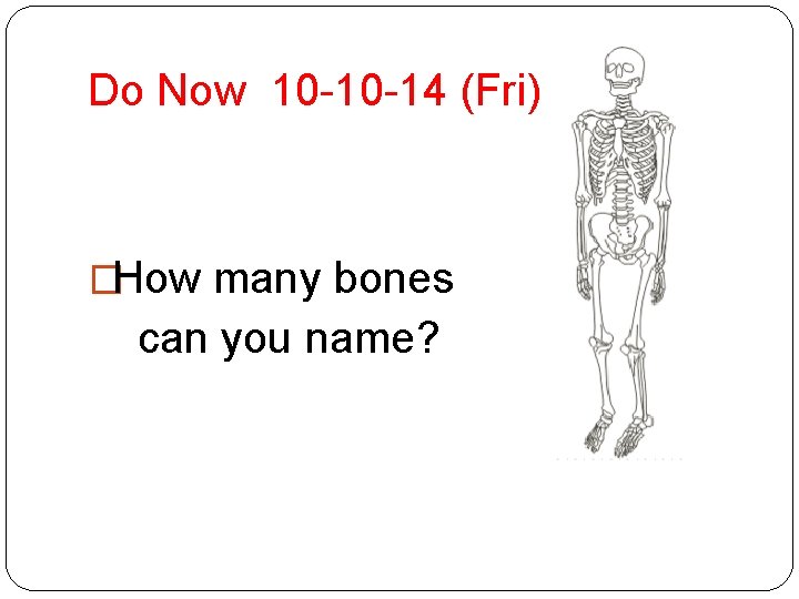 Do Now 10 -10 -14 (Fri) �How many bones can you name? 