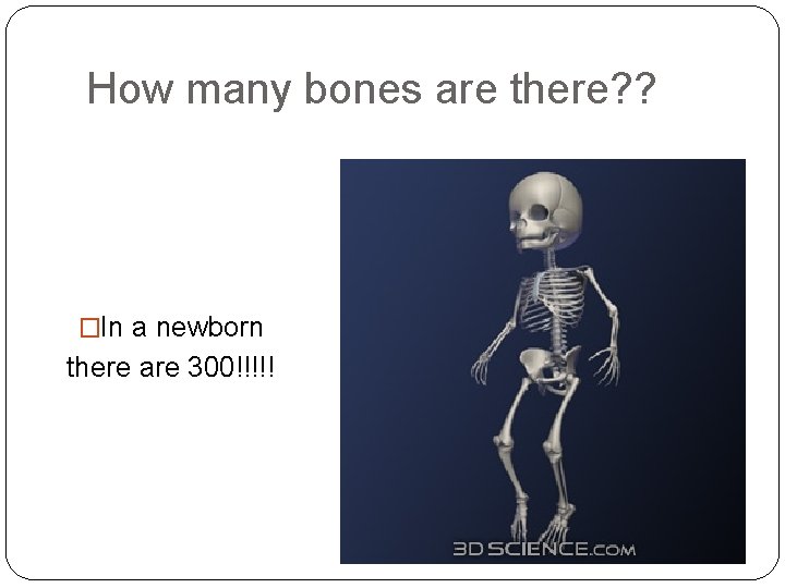 How many bones are there? ? �In a newborn there are 300!!!!! 