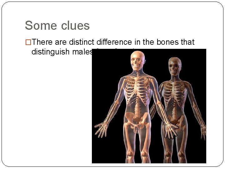 Some clues �There are distinct difference in the bones that distinguish males from females