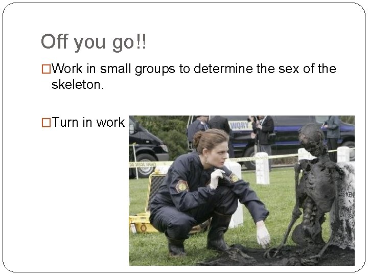Off you go!! �Work in small groups to determine the sex of the skeleton.