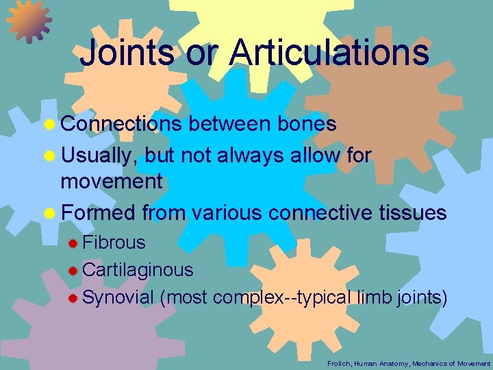 Joints or Articulations ® Connections between bones ® Usually, but not always allow for