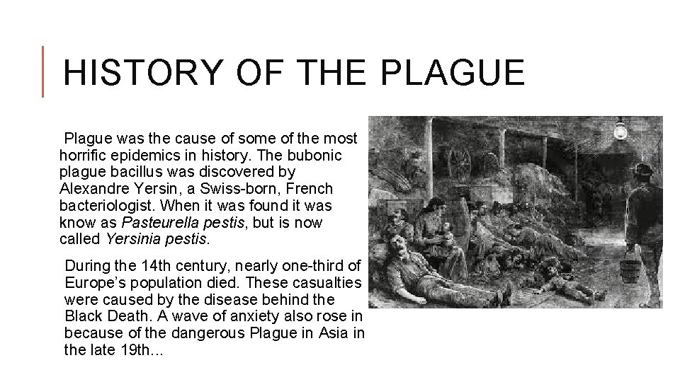 HISTORY OF THE PLAGUE Plague was the cause of some of the most horrific