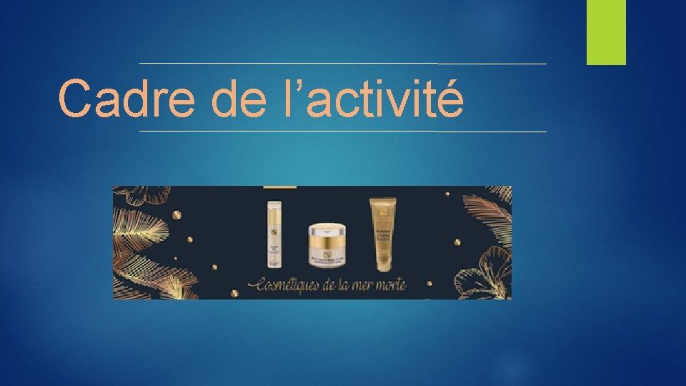 Cadre de l’activité 