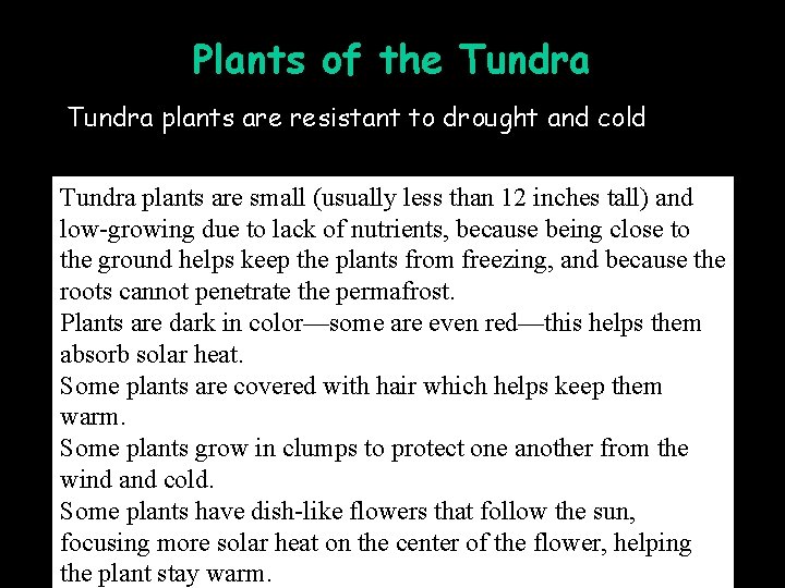 Plants of the Tundra plants are resistant to drought and cold Tundra plants are