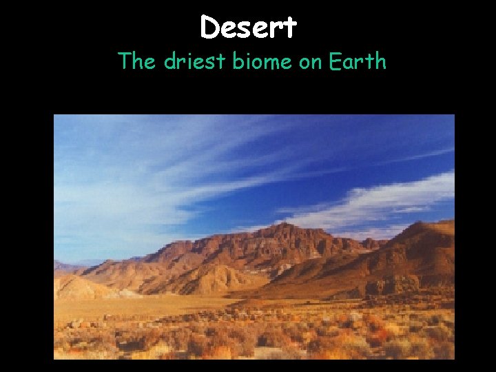 Desert The driest biome on Earth 