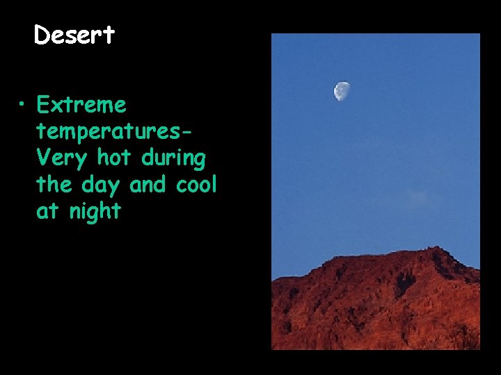 Desert • Extreme temperatures. Very hot during the day and cool at night 