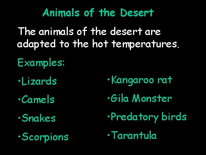 Animals of the Desert The animals of the desert are adapted to the hot