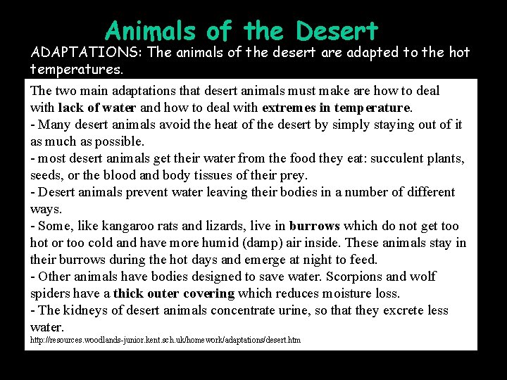 Animals of the Desert ADAPTATIONS: The animals of the desert are adapted to the