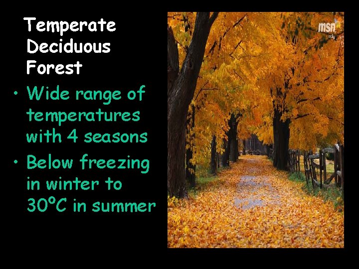 Temperate Deciduous Forest • Wide range of temperatures with 4 seasons • Below freezing