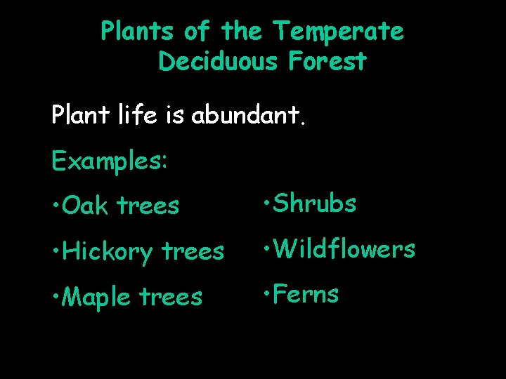 Plants of the Temperate Deciduous Forest Plant life is abundant. Examples: • Oak trees