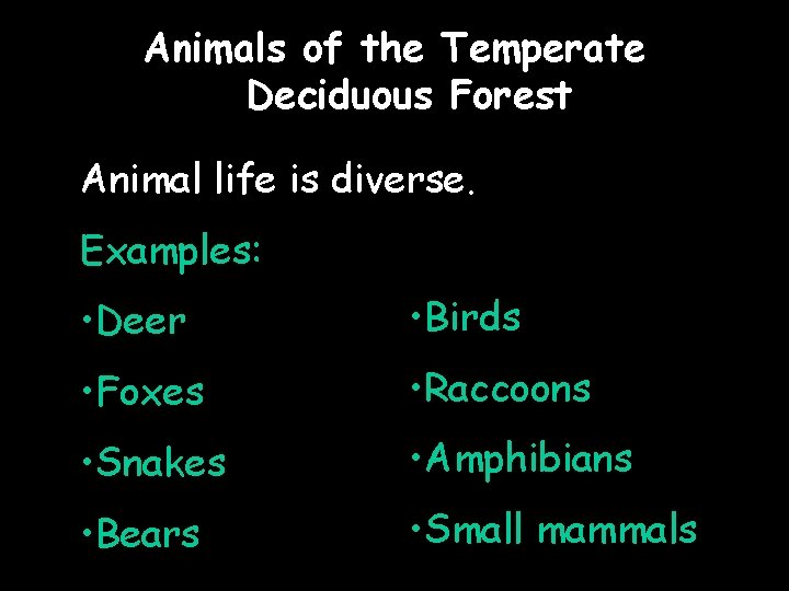 Animals of the Temperate Deciduous Forest Animal life is diverse. Examples: • Deer •