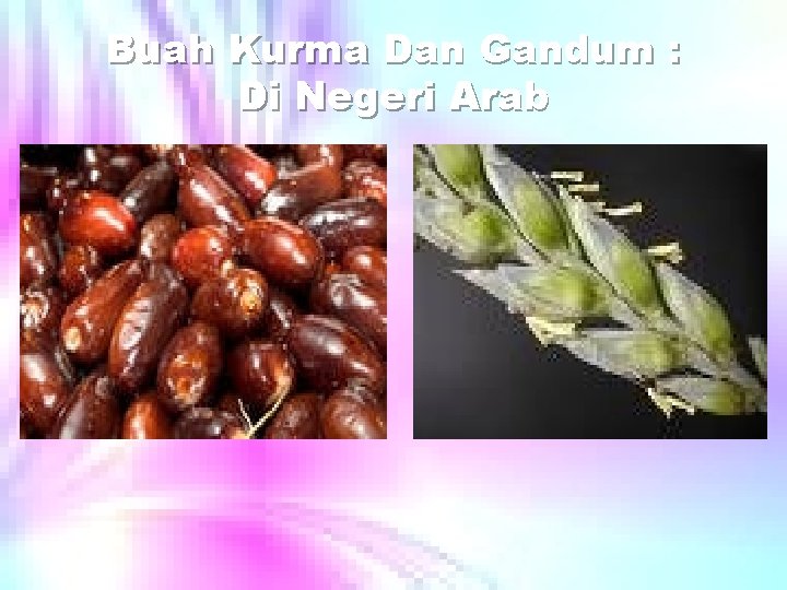 Buah Kurma Dan Gandum : Di Negeri Arab 