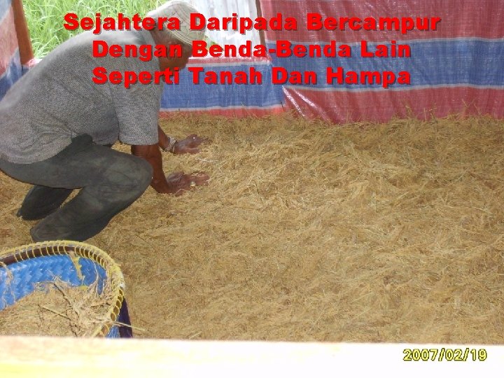 Sejahtera Daripada Bercampur Dengan Benda-Benda Lain Seperti Tanah Dan Hampa 