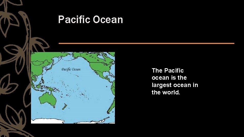 Pacific Ocean The Pacific ocean is the largest ocean in the world. 