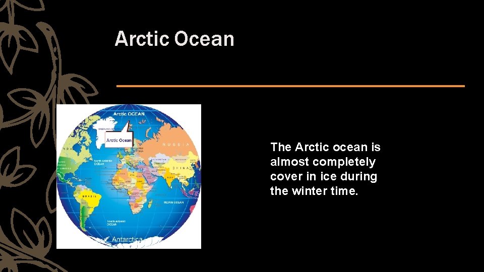 Arctic Ocean The Arctic ocean is almost completely cover in ice during the winter