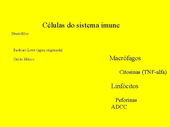 Células do sistema imune Neutrófilos Radicais Livre (agua oxigenada) Oxido Nítrico Macrófagos Citosinas (TNF-alfa)