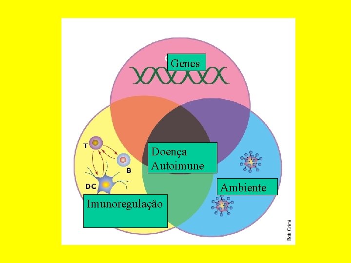 Genes Doença Autoimune Ambiente Imunoregulação 