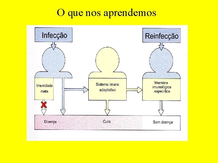 O que nos aprendemos 