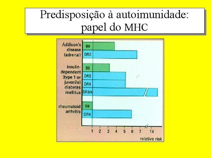 Predisposição à autoimunidade: papel do MHC 