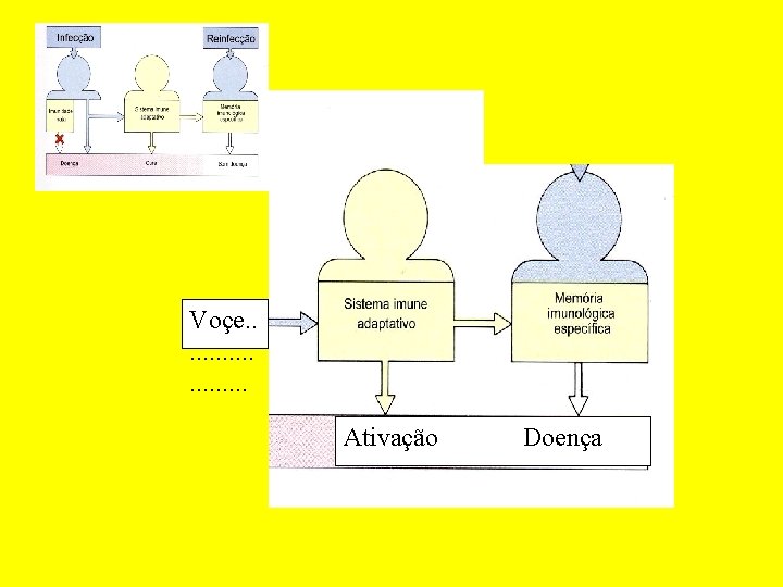 Voçe. . . . . Ativação Doença 