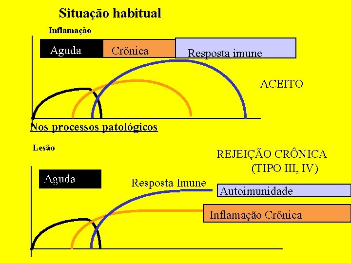 Situação habitual Inflamação Aguda Crônica Resposta imune ACEITO Nos processos patológicos Lesão Aguda Inflamação