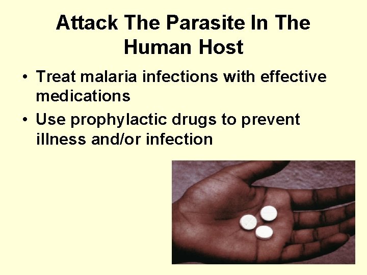 Attack The Parasite In The Human Host • Treat malaria infections with effective medications