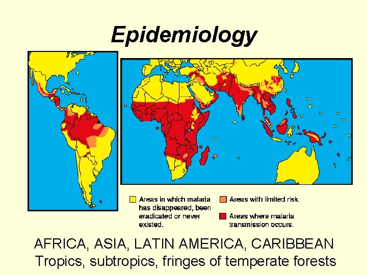 Epidemiology AFRICA, ASIA, LATIN AMERICA, CARIBBEAN Tropics, subtropics, fringes of temperate forests 
