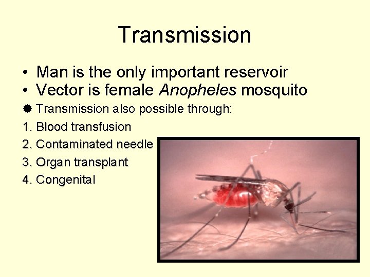 Transmission • Man is the only important reservoir • Vector is female Anopheles mosquito