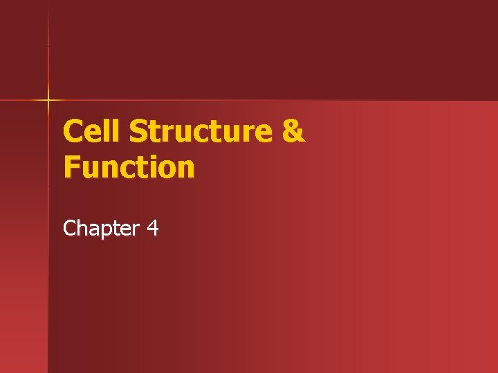 Cell Structure & Function Chapter 4 